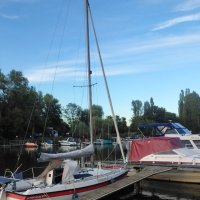 IMG_4124.